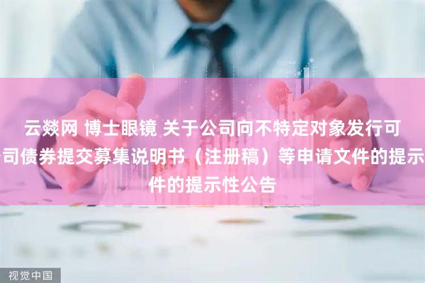 云燚网 博士眼镜 关于公司向不特定对象发行可转换公司债券提交募集说明书（注册稿）等申请文件的提示性公告