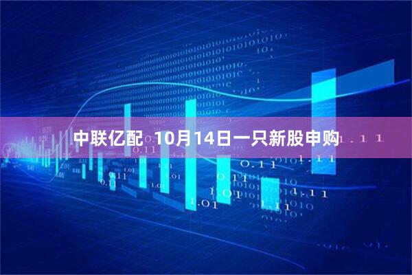 中联亿配  10月14日一只新股申购
